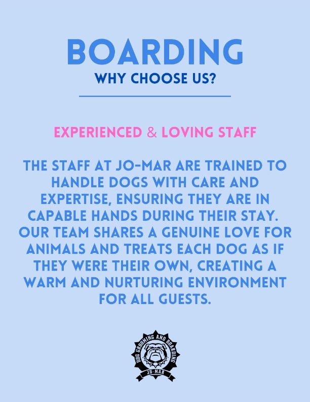 Experienced and loving staff flyer